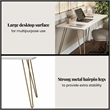 Homy Casa White and Gold Metal and Wood Writing Desk with Hairpin Legs