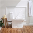 OVE Jade One-Piece Elongated Toilet With Dual Flush and Soft Close Seat
