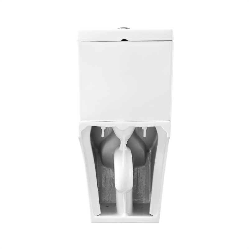 Beverly 2-Piece 1.1/1.6 GPF Dual-Flush Elongated Toilet in White Seat Included