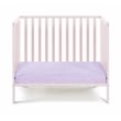 Suite Bebe Palmer Contemporary Wood Mini Crib with Mattress Pad in Pink