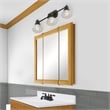 Claremont Assembled Medicine Wood Cabinet in Honey Oak 24-Inch