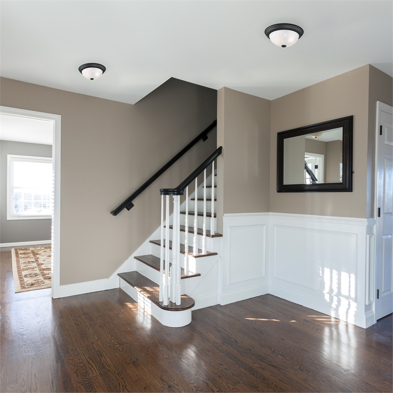 Traditional Stainless Steel Ceiling Light in Matte Black 2-Light 2-Pack