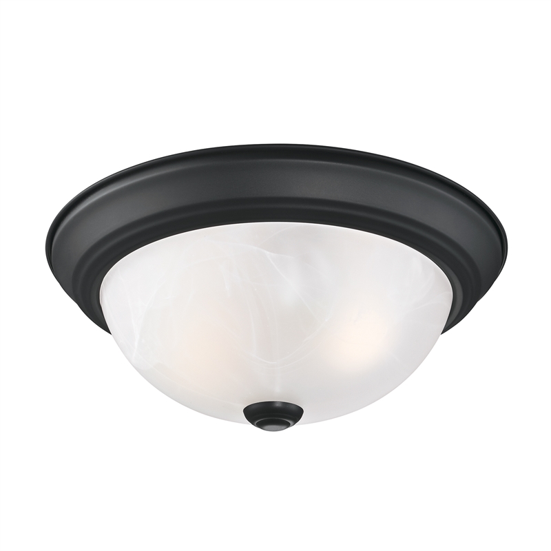 Traditional Stainless Steel Ceiling Light in Matte Black 2-Light 2-Pack