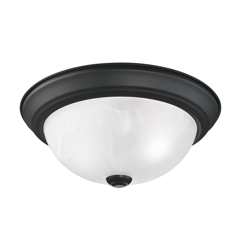 Traditional Stainless Steel Ceiling Light in Matte Black 2-Light 2-Pack