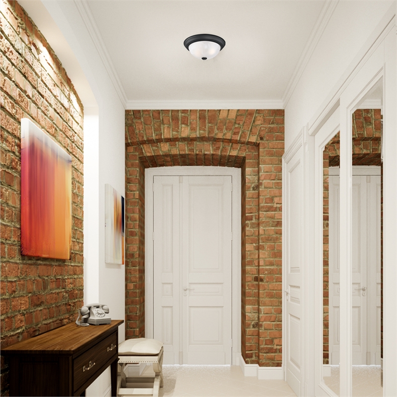 Traditional Stainless Steel Ceiling Light in Matte Black 2-Light 2-Pack
