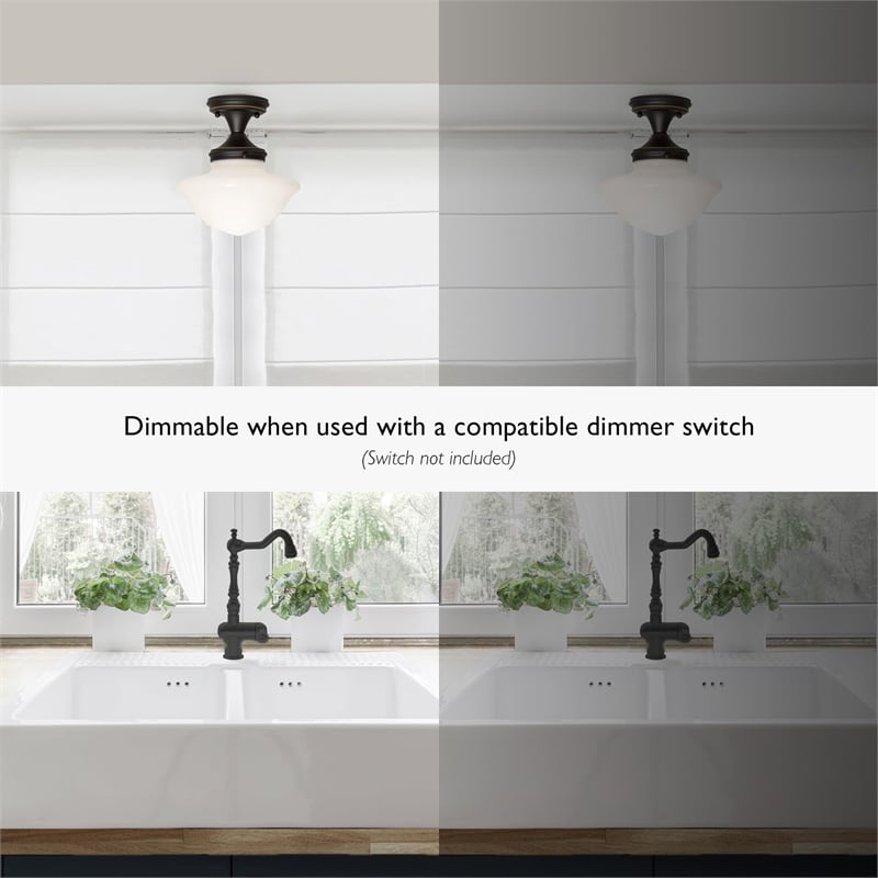 Schoolhouse Stainless Steel Ceiling Light in Oil Rubbed Bronze