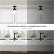 Schoolhouse Stainless Steel Ceiling Light in Oil Rubbed Bronze