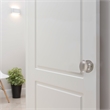 Egg Dummy Brass Door Knob in Silver Satin Nickel