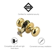 Design House Cambridge Passage Brass Door Knob in Polished Brass