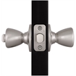 Tulip Privacy Brass Door Knob in Satin Silver Nickel