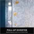 Stainless Steel Tub Diverter Spout in Satin Gold