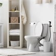 Stainless Steel Bidet Sprayer in Matte Black