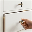 Design House 5-Pack Emery Stainless Steel Cabinet Knobs in Gold and Matte Black
