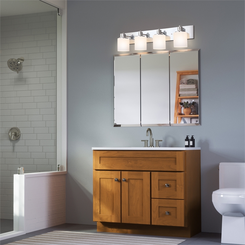 Design House Dane 4-Light Stainless Steel Vanity Light in Polished Chrome