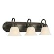 Design House Allante 3-Light Stainless Steel Vanity Light in Oil Rubbed Bronze