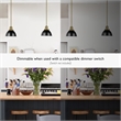 Design House Savannah 1-Light Stainless Steel Pendant in Matte Black/Satin Gold