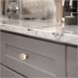 Design House 10-Pack Traditional Metal Mesa Knob in Brushed Nickel