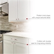 Design House 5-Pack Stainless Steel Porter Cabinet Knob in Satin Nickel