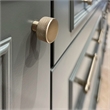 Design House 5-Pack Stainless Steel Porter Cabinet Knob in Satin Nickel