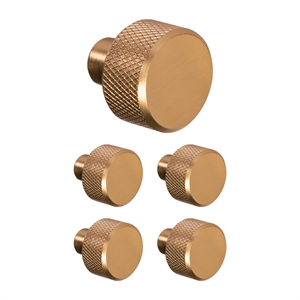 Design House 5-Pack Stainless Steel Porter Cabinet Knob in Satin Gold