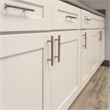 Solid 3-3/4-in (96 mm) Stainless Steel Cabinet Pulls in Satin Nickel 10-Pack
