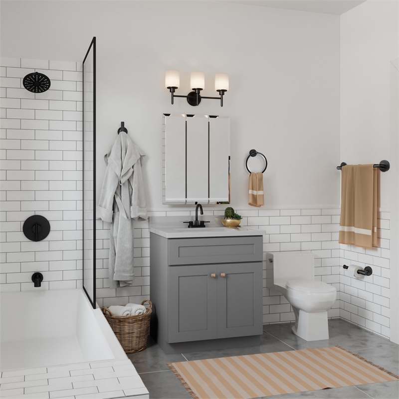 Design House Graz Park Metal Toilet Paper Holder in Matte Black