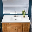 Brookings Bath Vanity Assembled 49x22 - Birch Base and Camilla II Top