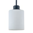 Design House Haddie Mini Pendant in Matte Black and Frosted Glass
