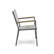 Greemotion Mackay 2-Piece Outdoor Patio Metal Gray Frame Chairs with Teak Accent