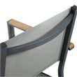 Greemotion Mackay 2-Piece Outdoor Patio Metal Gray Frame Chairs with Teak Accent