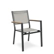 Greemotion Mackay 2-Piece Outdoor Patio Metal Gray Frame Chairs with Teak Accent