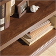 Sauder Select Engineered Wood 2-Shelf Bookcase in Oiled Oak Finish