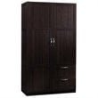 Sauder Select Engineered Wood Storage Cabinet in Cinnamon Cherry