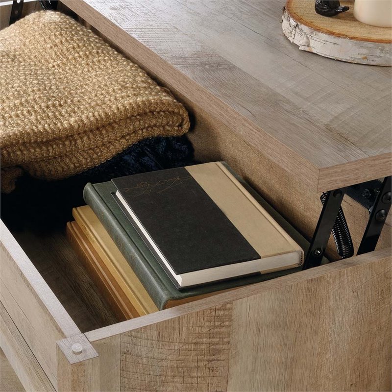 Sauder Cannery Bridge Engineered Wood Lift Top Coffee Table in Lintel