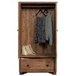 Sauder Palladia Engineered Wood Bedroom Armoire in Vintage Oak