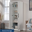 Sauder Homeplus Engineered Wood Storage Cabinet in White Finish