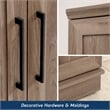 Sauder Homeplus Engineered Wood Storage Cabinet in Salt Oak Finish