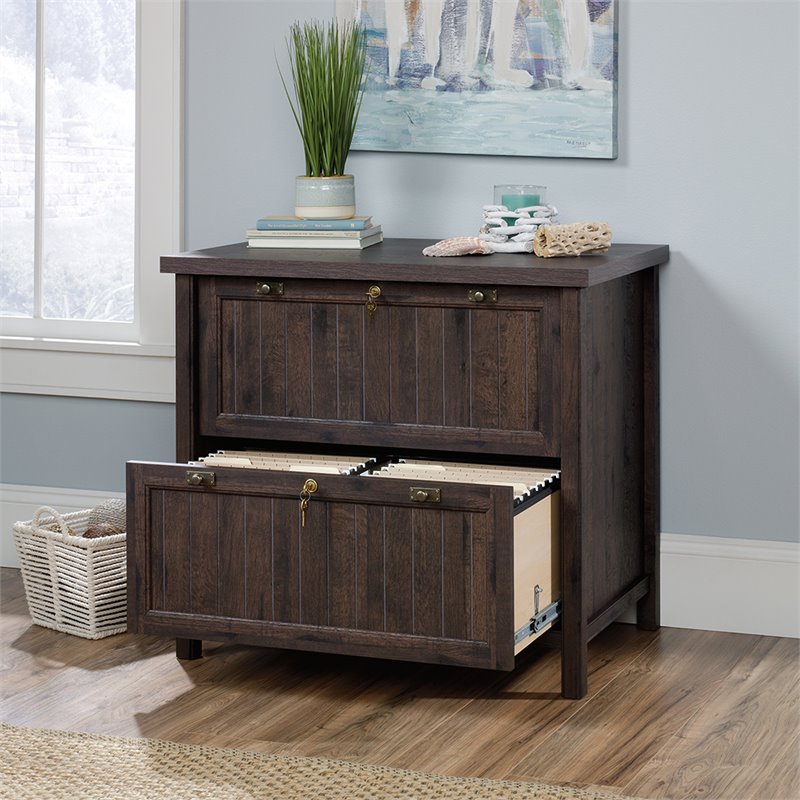 Sauder Costa Engineered Wood 2-Drawer Lateral File Cabinet ...