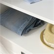 Sauder Cottage Road Engineered Wood Armoire in Soft White and Lintel Oak