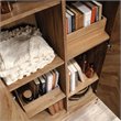 Sauder Cannery Bridge Engineered Wood Storage Cabinet in Sindoori Mango/Natural