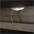 Sauder Hammond Engineered Wood Executive Desk in Emery Oak Finish