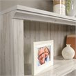 Sauder Select Engineered Wood 3-Shelf Bookcase in White Plank