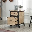 Sauder Steel River 2-Drawer Mobile File Cabinet in Milled Mesquite Beige