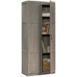 Sauder Select Engineered Wood Storage Cabinet in Silver Sycamore/Gray