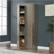 Sauder Select Engineered Wood Storage Cabinet in Silver Sycamore/Gray