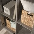 Sauder Select Engineered Wood Storage Cabinet in Silver Sycamore/Gray