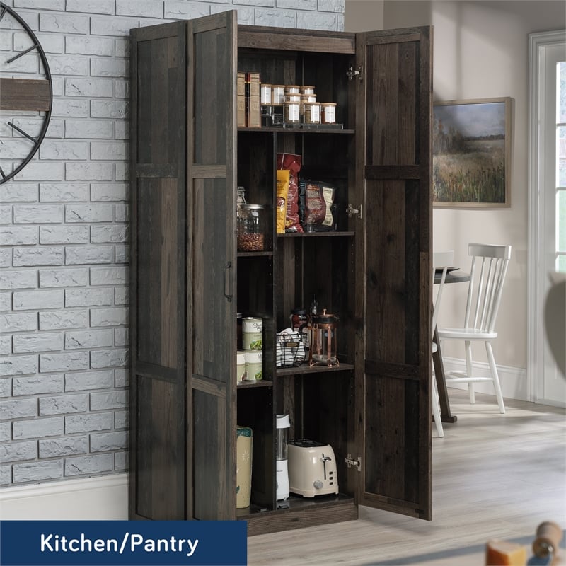 Sauder Select Engineered Wood 2 Door Storage Cabinet in Reclaimed Pine/Brown
