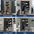 Sauder Select Engineered Wood Storage Cabinet in Silver Sycamore