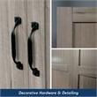 Sauder Select Engineered Wood Storage Cabinet in Silver Sycamore
