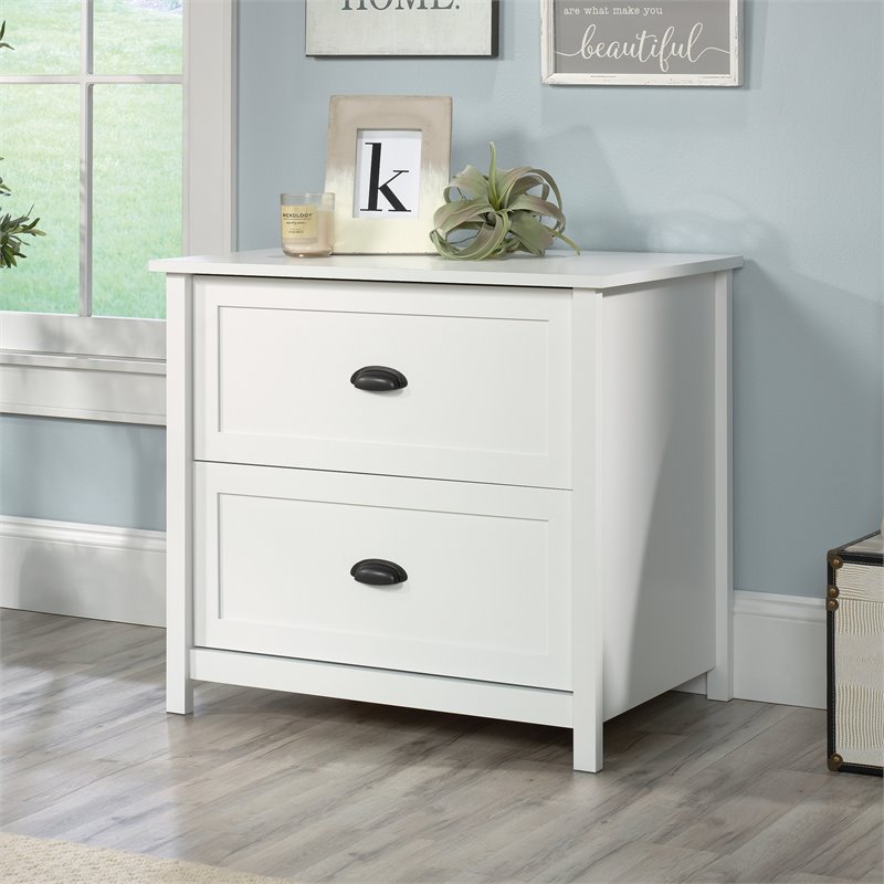 Sauder County Line Engineered Wood 2 Drawer Lateral File Cabinet In   2148144 5 L 